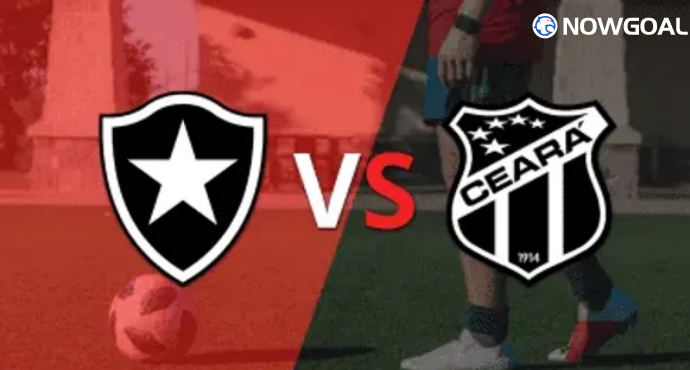 Botafogo RJ vs Ceara: Intense Clash Expected! Prediction Inside
