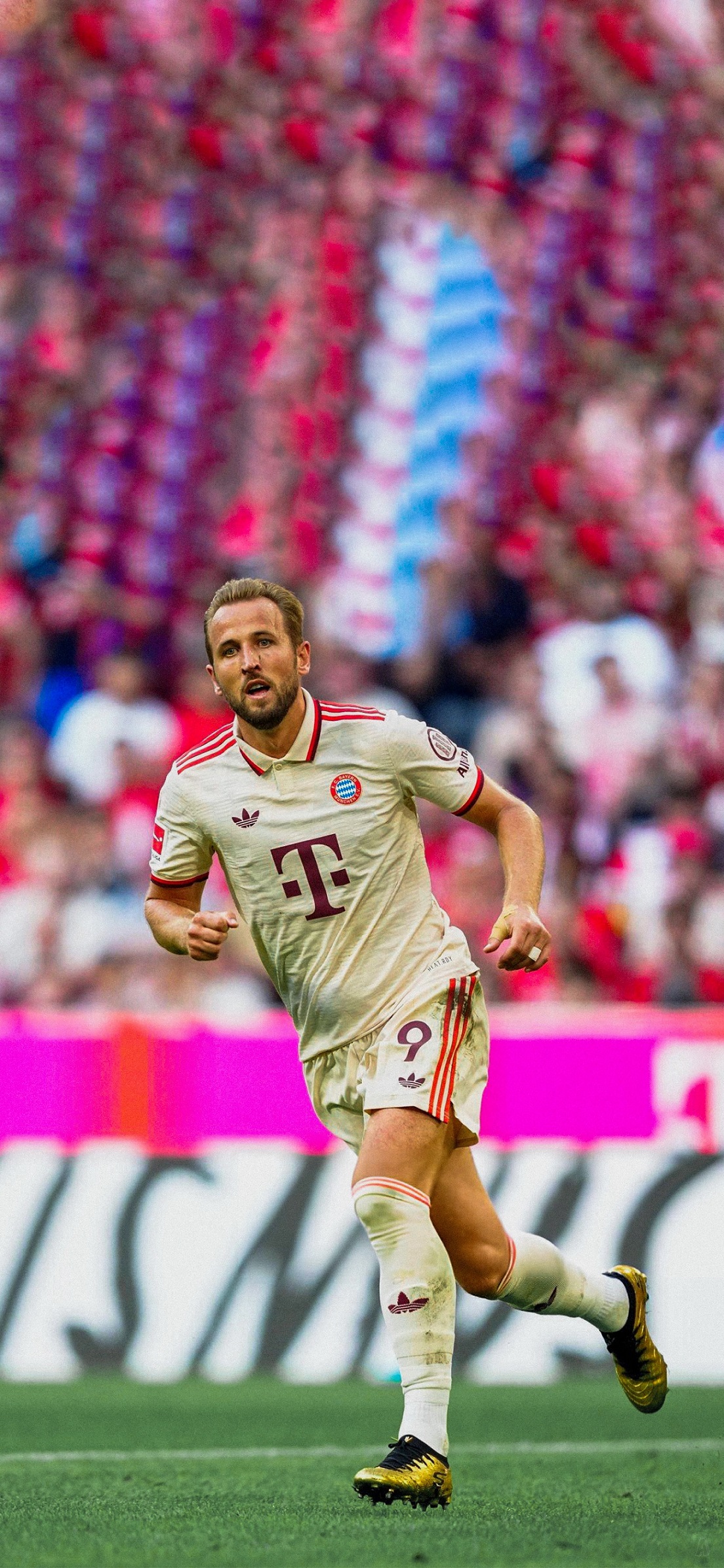 Ảnh đẹp: Bayern Munich VS SC Freiburg