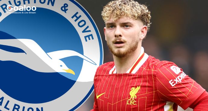 Brighton Prepare £40m Bid for Liverpool’s Harvey Elliott