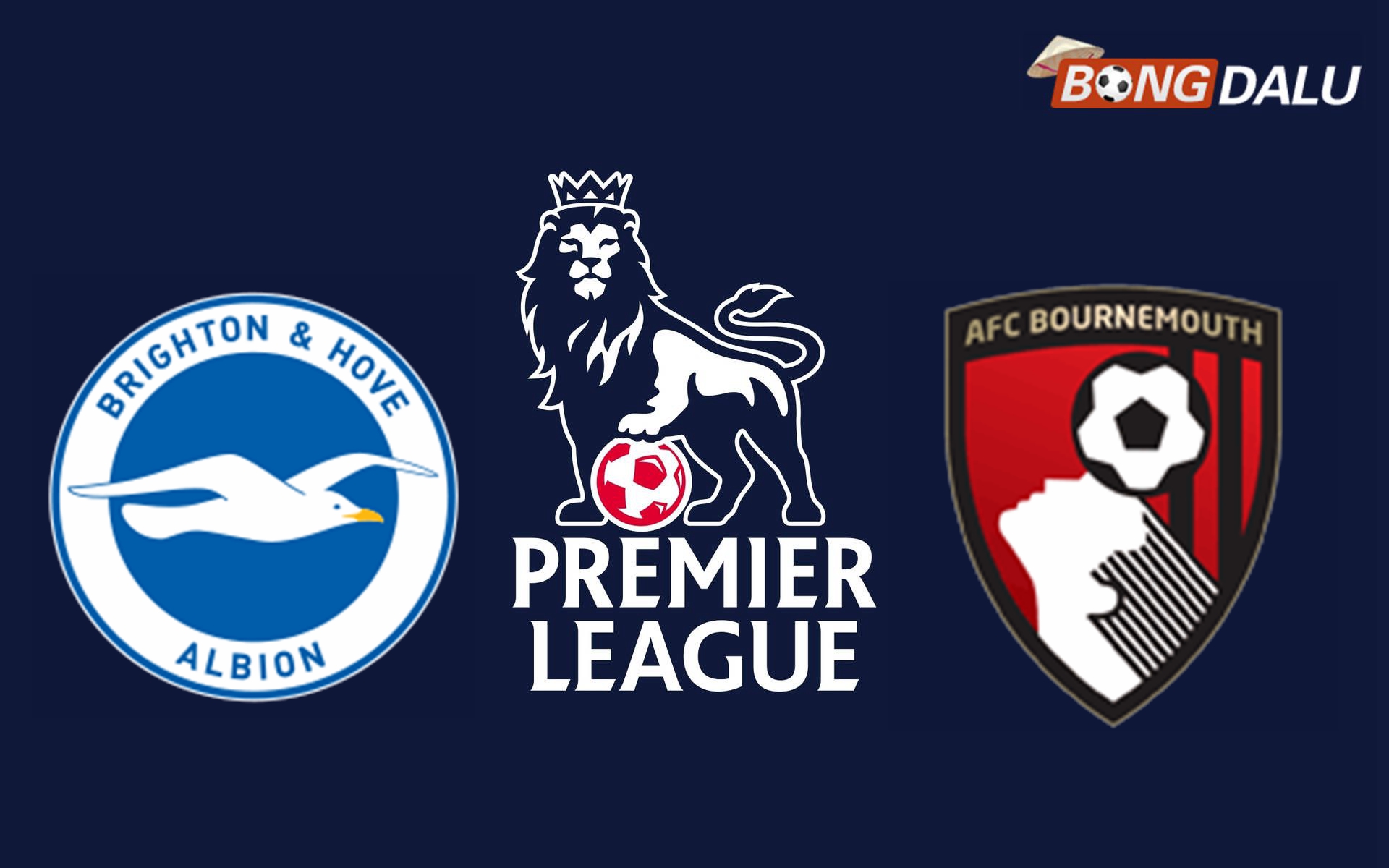 Nhận định Brighton Hove Albion VS AFC Bournemouth 02:30 26/02/2025 Ngoại Hạng Anh