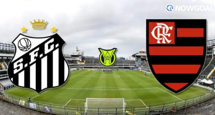 Prediction: July 16th, Campeonato Brasileiro Série A Santos vs Flamengo