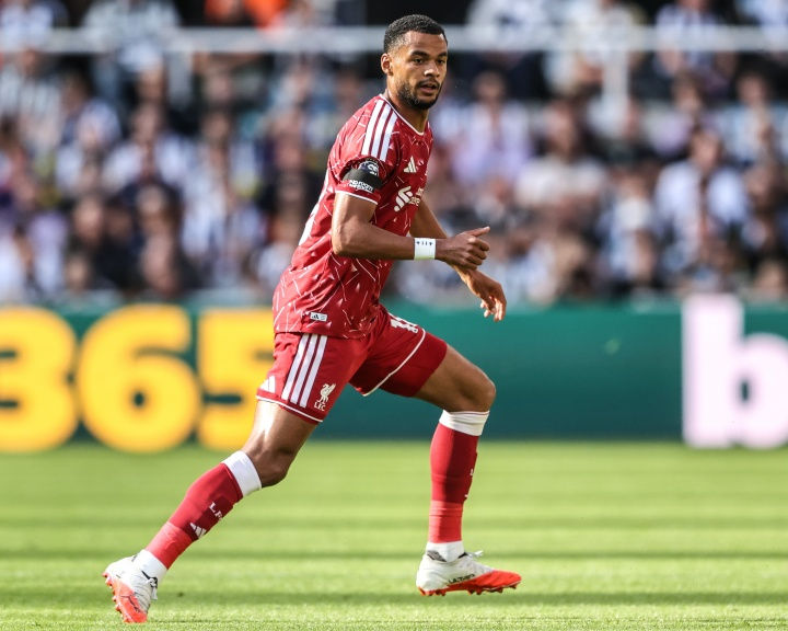 Báo Anh: Gakpo vắng mặt buổi tập thứ Ba, nhiều khả năng lỡ trận gặp Atletico – Liverpool loạt trụ cột bỏ ngỏ khả năng ra sân