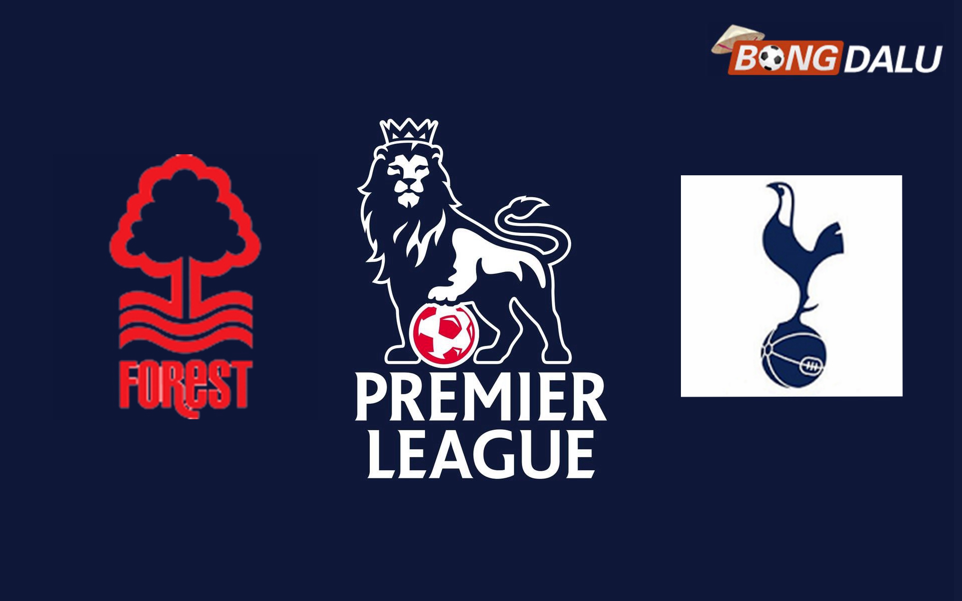Nhận định Nottingham Forest VS Tottenham Hotspur, 22:00 26/12/2024 Ngoại Hạng Anh