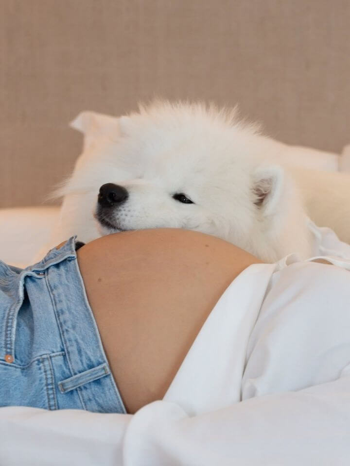 Alvarez chia sẻ bức ảnh