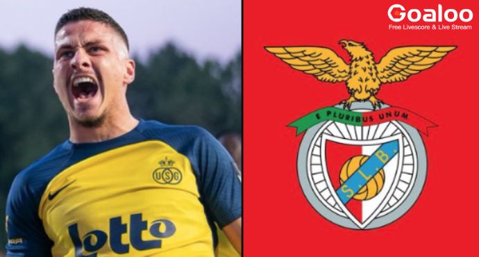 Benfica Seals Record-Breaking Deal for Croatian Striker Franjo Ivanović