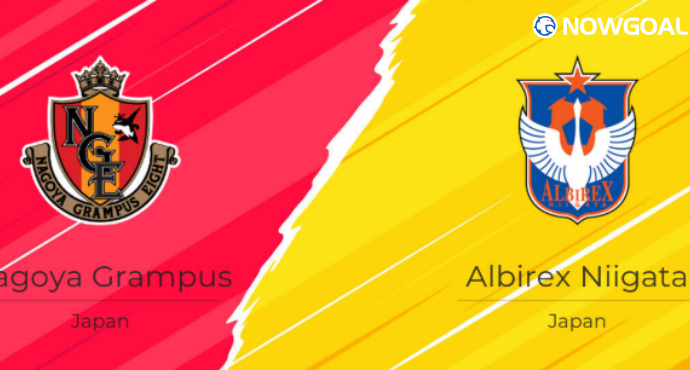 Intense Clash: Nagoya Grampus vs Albirex Niigata - Prediction