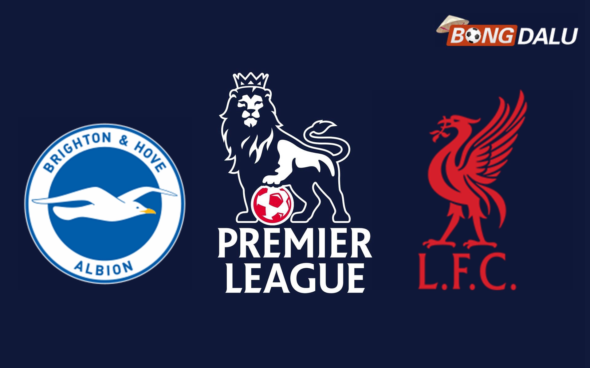Nhận định Brighton Hove Albion VS Liverpool 02:00 20/05/2025 Ngoại Hạng Anh