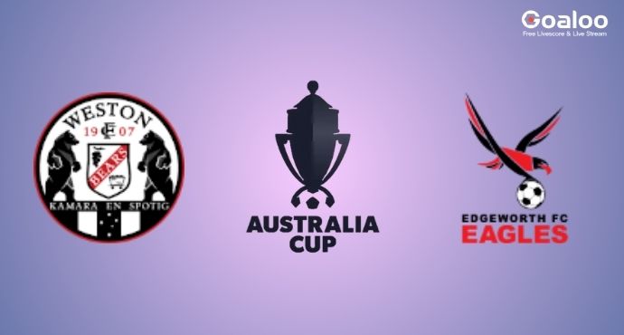 11 June - Australia Cup Showdown: Eagles Soar Over Bears in Head-to-Head