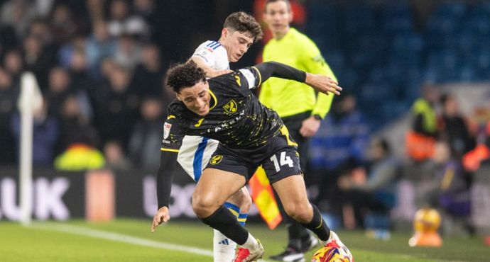 Leeds United Ascend to Championship Summit with 2-0 Victory Over Norwich City