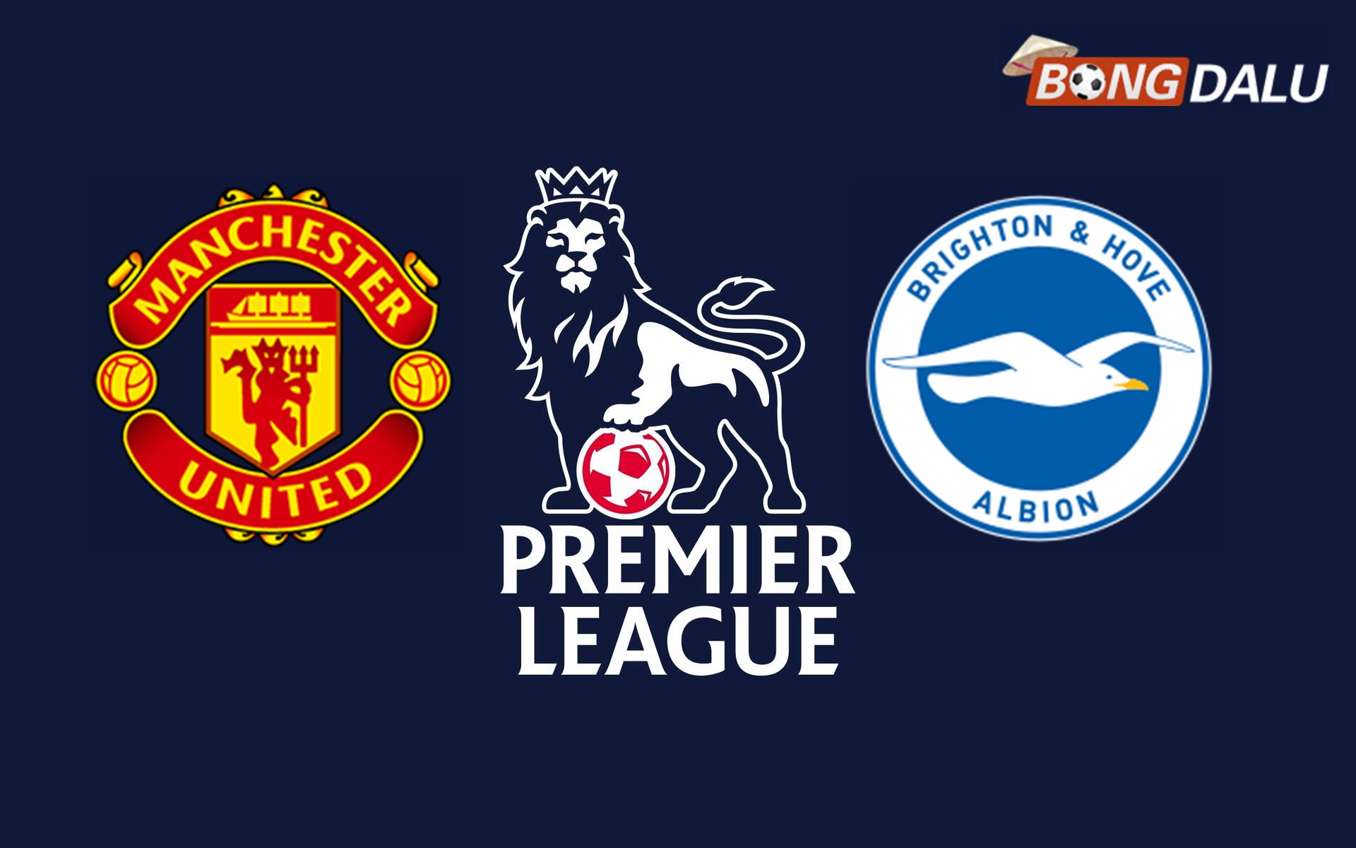 Nhận định Manchester United VS Brighton Hove Albion 21:00 19/01/2025 Ngoại Hạng Anh