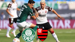 Palpite Palmeiras VS Flamengo