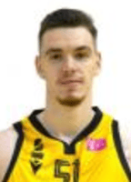 Viktor Saric logo