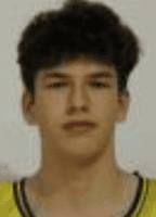 Natan Brcic logo