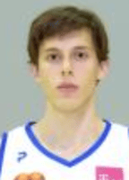Vatroslav Mastelic logo