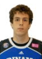 Mislav Majic logo