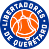 Libertadores logo