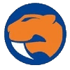 Sandringham Sabres logo