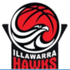 Basketball Illawarra logo