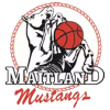 Maitland Mustangs logo