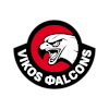 Vikos logo
