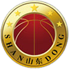 Shandong logo