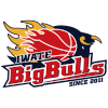 Iwate Big Bulls logo