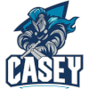 Casey Cavaliers logo