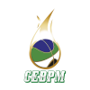 CEB Puerto Montt logo