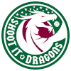 Shoot it Dragons logo