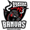 Banvas Slammers TNS-TST logo