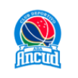 ABA Ancud logo