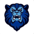 Argentino de Junin logo