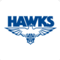 Perry Lake Eagle logo