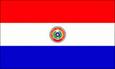 Paraguay (W) logo