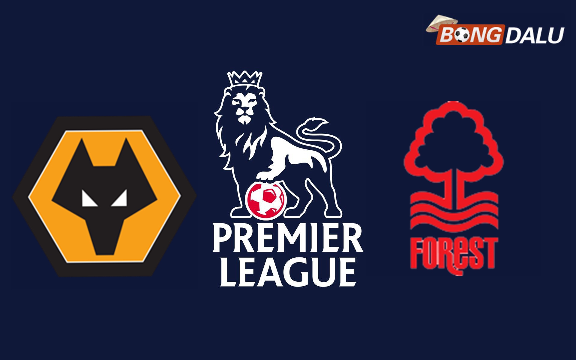 Nhận định Wolves VS Nottingham Forest，03:00 07/01/2025 Ngoại Hạng Anh