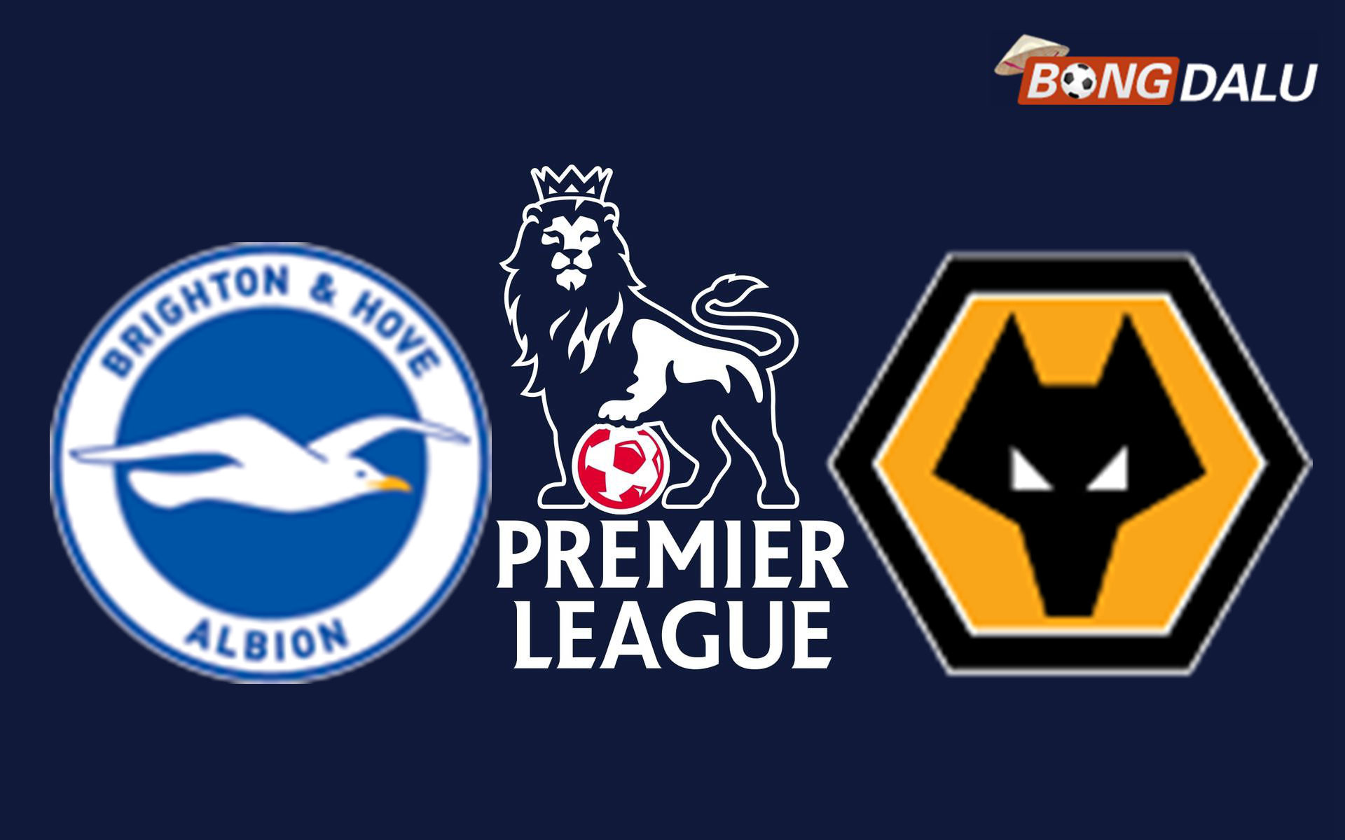 Brighton Hove Albion VS Wolves 21:00 09/05/2026 Ngoại Hạng Anh
