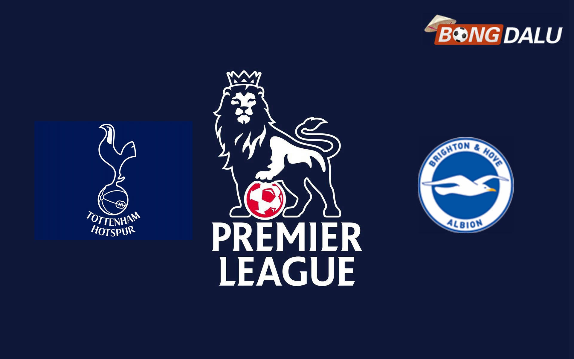 Tottenham Hotspur VS Brighton | 18/04/2026 23:30 Ngoại Hạng Anh