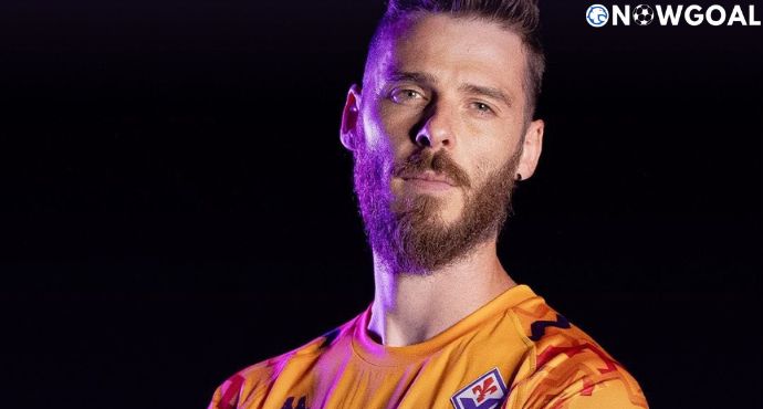 Former Manchester United goalkeeper David de Gea has joined Fiorentina on a free transfer