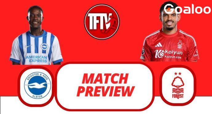 English Premier League---Nottingham Forest VS Brighton Hove Albion