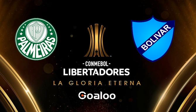 Palmeiras VS Bolivar