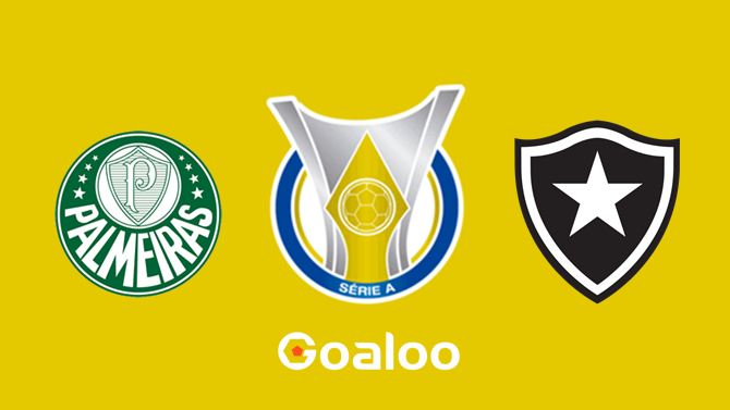 Palmeiras VS Botafogo RJ