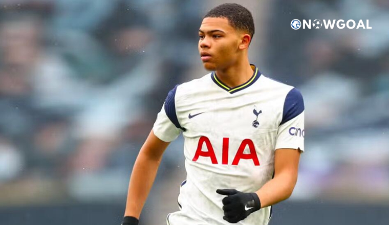 ​Tottenham Hotspur striker Dane Scarlett deal confirmed