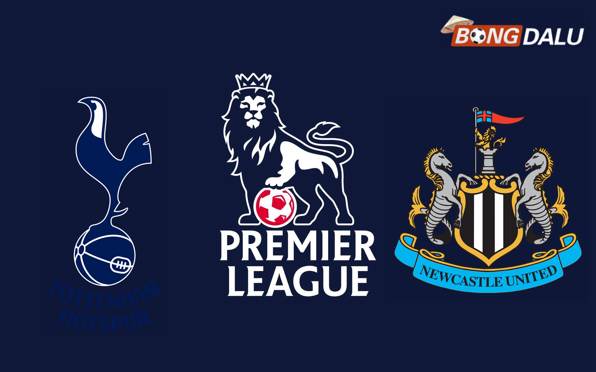 Nhận định Tottenham Hotspur VS Newcastle United 19:30 04/01/2025 Ngoại Hạng Anh