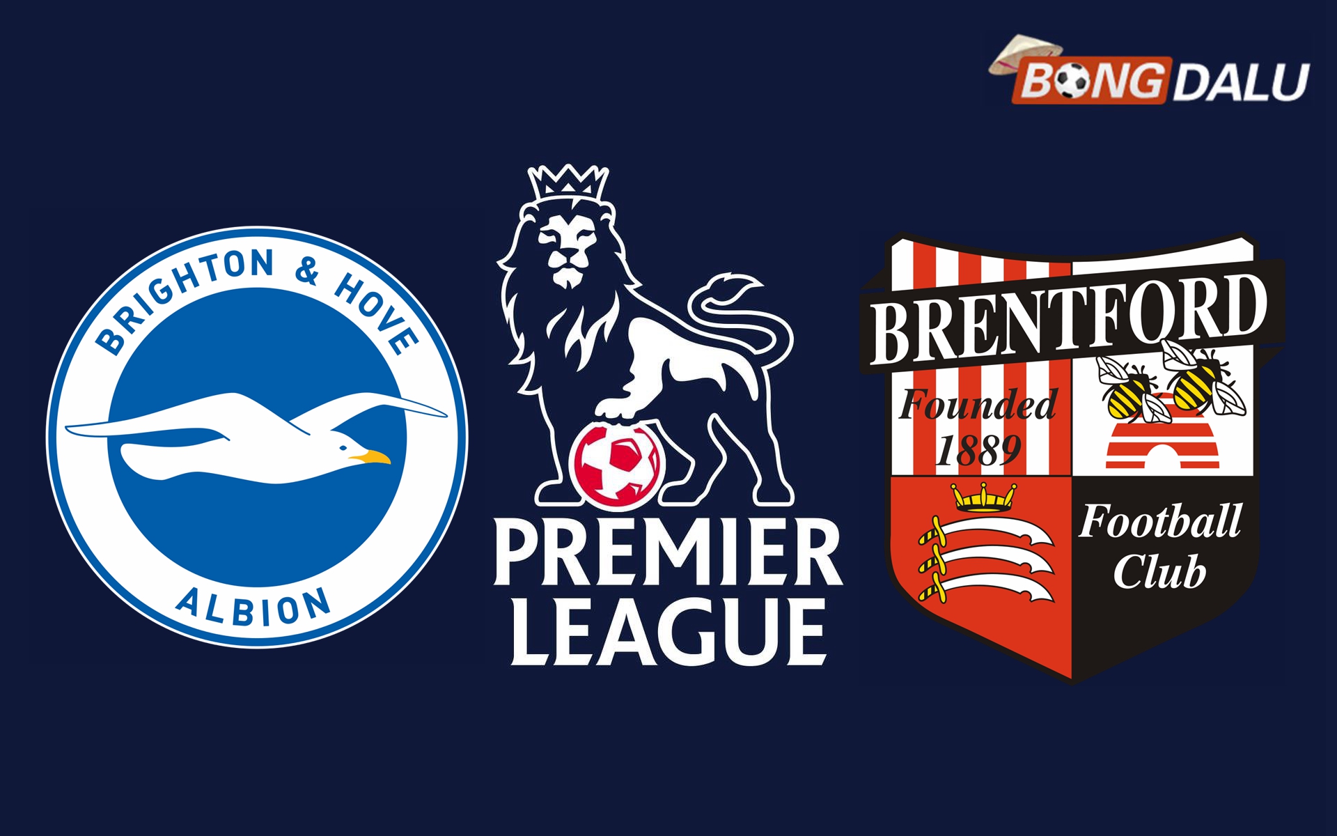 ​Nhận định Brighton Hove Albion VS Brentford, 02:30 28/12/2024 Ngoại Hạng Anh