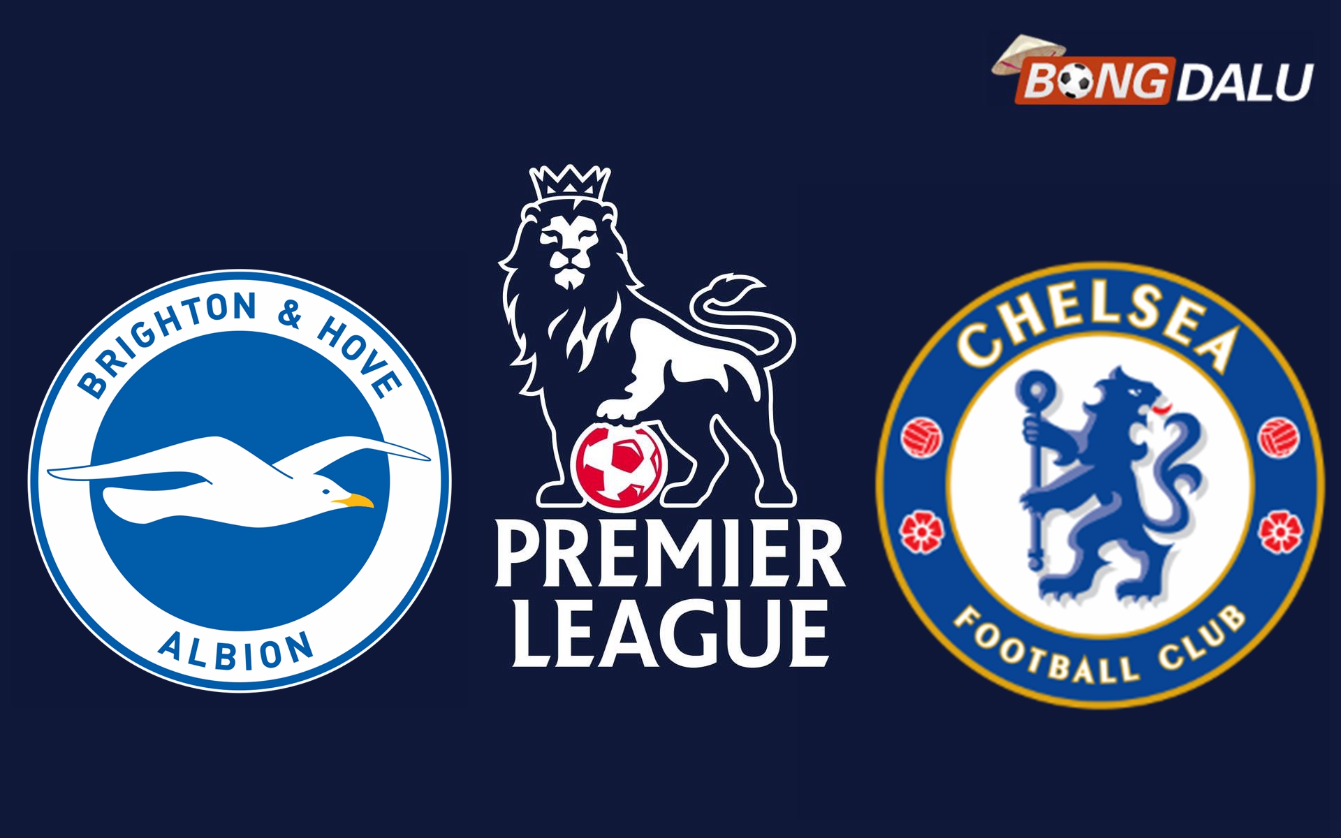 Nhận định Brighton Hove Albion VS Chelsea FC 03:00 15/02/2025 Ngoại Hạng Anh