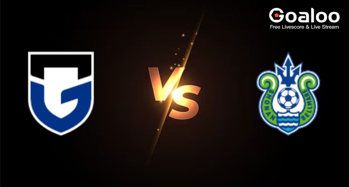 Japan Emperor's Cup---Gamba Osaka VS Shonan Bellmare Preview