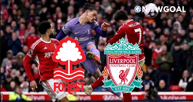 English Premier League - Nottingham Forest VS Liverpool Prediction