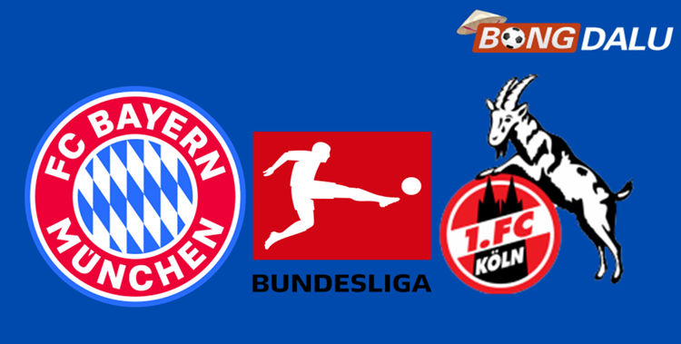 Bayern Munich VS Koln 20:30 16/05/2026 VĐQG Đức