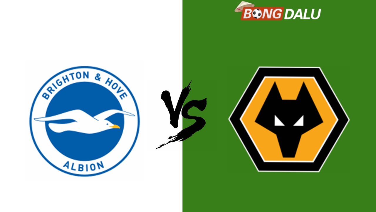 Nhận định Brighton VS Wolves, 01:45 19/09/2024 Cúp Liên Đoàn Anh