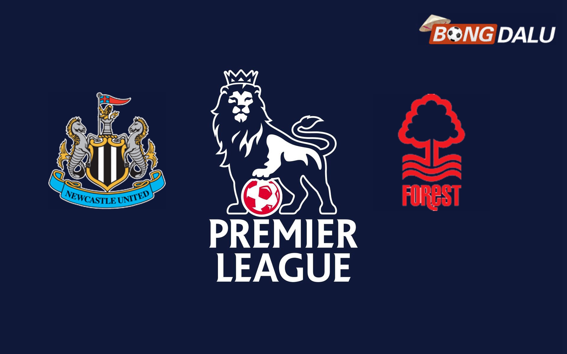 Nhận định Newcastle United VS Nottingham Forest 21:00 23/02/2025 Ngoại Hạng Anh